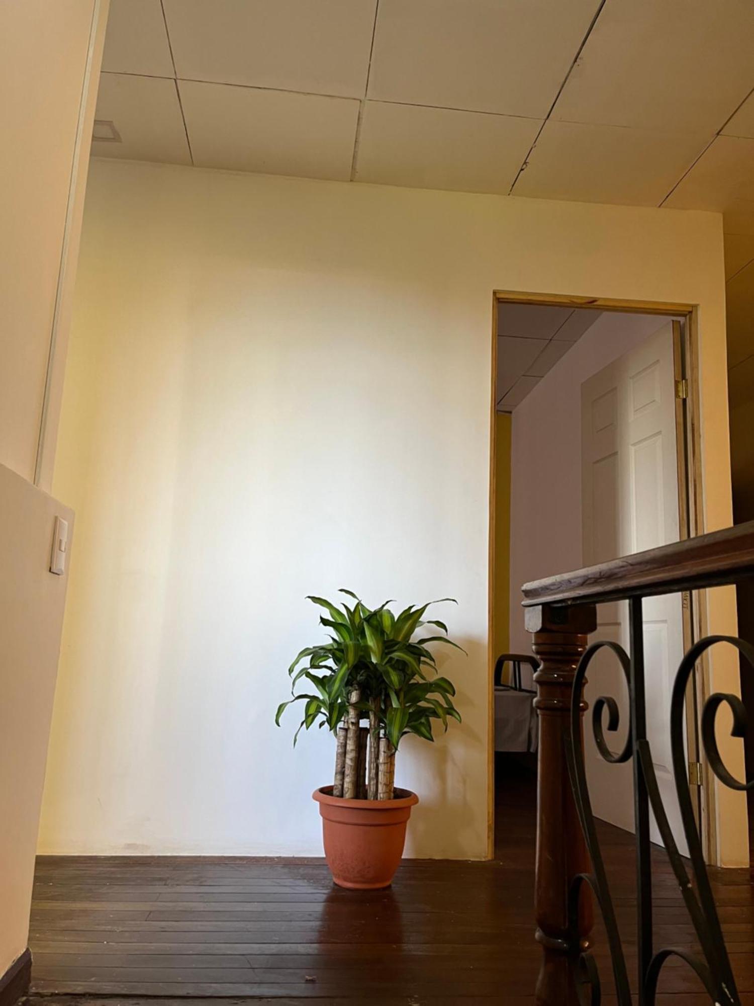 El Parque Bed And Breakfast Alajuela ภายนอก รูปภาพ